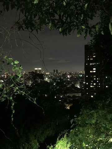 "台湾的夜景嘛，当然是要在塔外看。我们决定带着箱子爬象山哈哈哈。而且还要登高望远地看。最后！最后！终于_象山"的评论图片