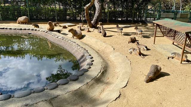 海之中道海滨公园