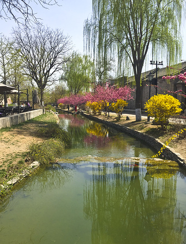 "今天要到访的是三里河公园，吸引我前来的是优雅的咖啡书屋，想着春暖花开时节，咖啡屋也许会外设座位..._三里河公园"的评论图片