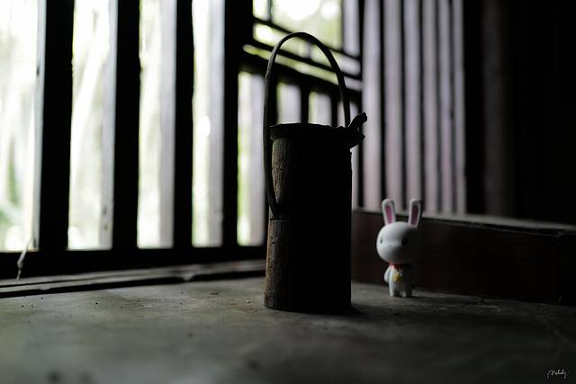 茅坪八角楼旧址