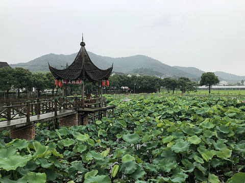 上林农庄旅游景点攻略图