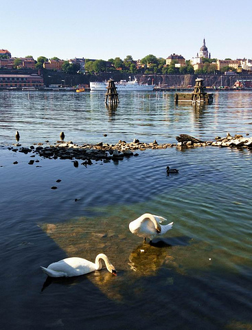 "梅拉伦湖是瑞典的第三大湖泊，宽阔平静的湖水穿城而过，注入波罗的海_梅拉伦湖"的评论图片