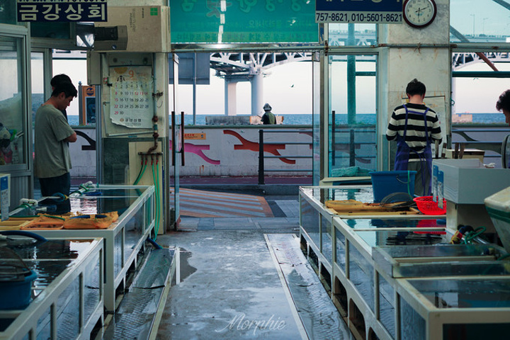 "这里的海鲜比札嘎其市场要便宜，刚刚从海中捕捞出来的鲜鱼可以直接做成生鱼片_民乐生鱼片中心"的评论图片