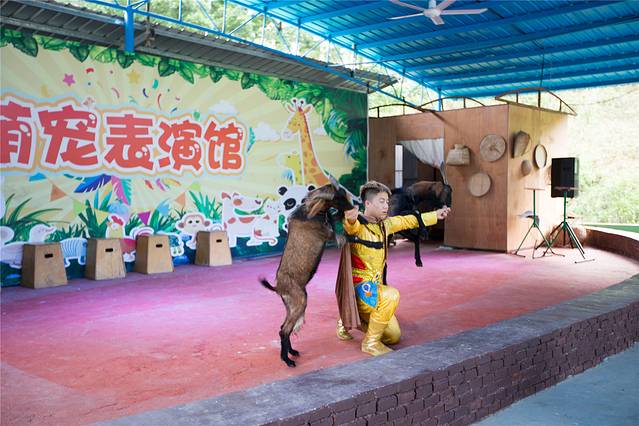 广东大虫生态动物乐园