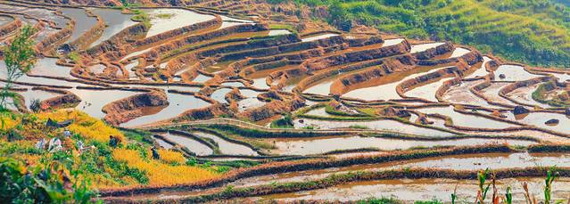 联合梯田