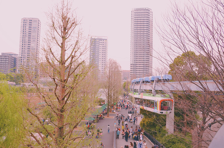 "这么一看❤️上野太好玩了吧！以往的赏樱都是公园，樱花动物园也是不错的选择哦~人很少！❤好有爱❤_上野动物园"的评论图片