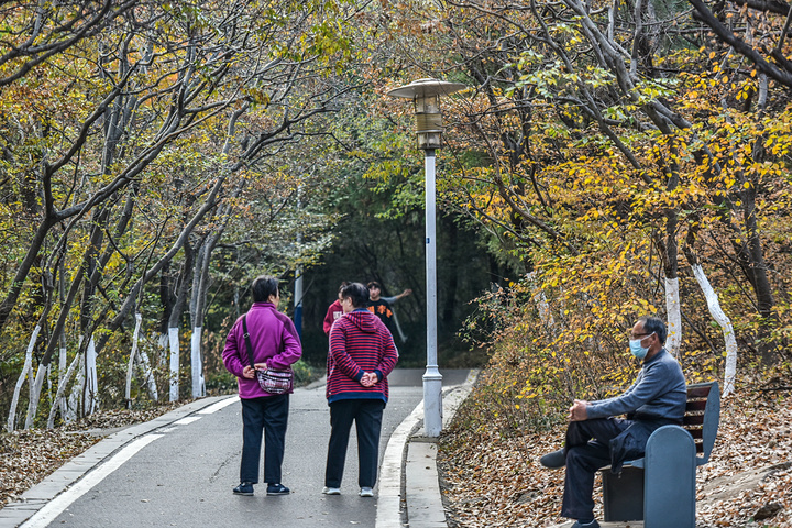 "当山野君仔细察看公园的树叶时，发现淮北市相山公园的植被非常好。这种感觉是不是很赞？你们认为呢_相山国家森林公园"的评论图片