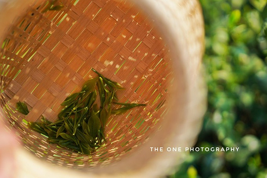 黄龙岘金陵茶文化旅游村旅游景点图片