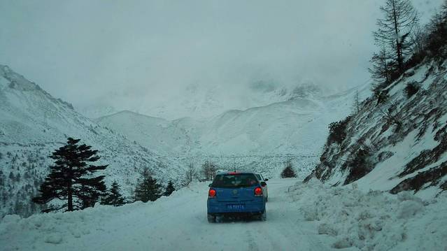 白马雪山观景台