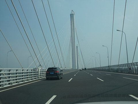 嘉绍大桥旅游景点图片