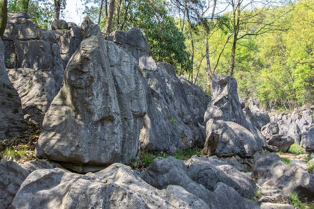宜都市奥陶纪石林景区