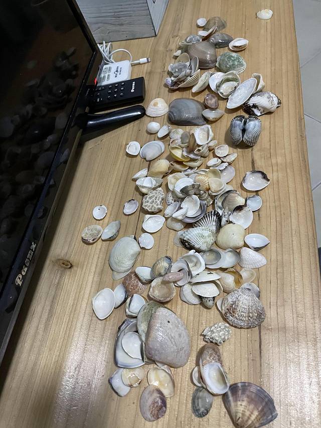 深圳大鹏较场尾