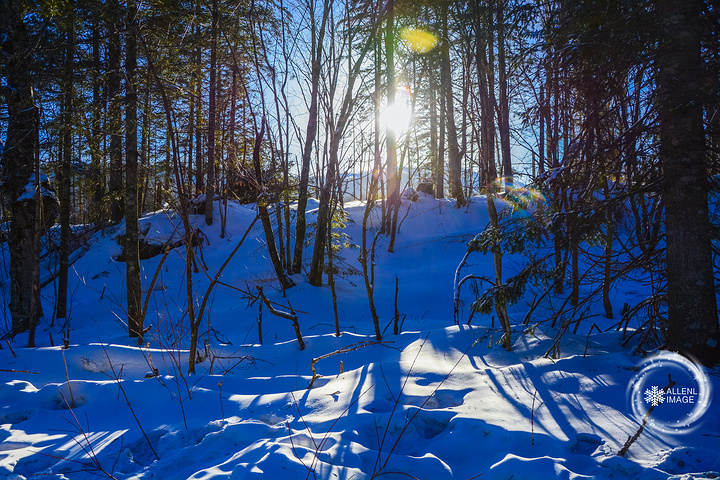 "造型美丽的大型冰挂。接着往山上行走，进入户外徒步的路线，树木上挂满的红绳在这冰天雪地里格外抢眼_亚雪驿站十里画廊"的评论图片