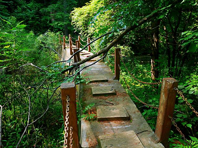 伊春兴安国家森林公园