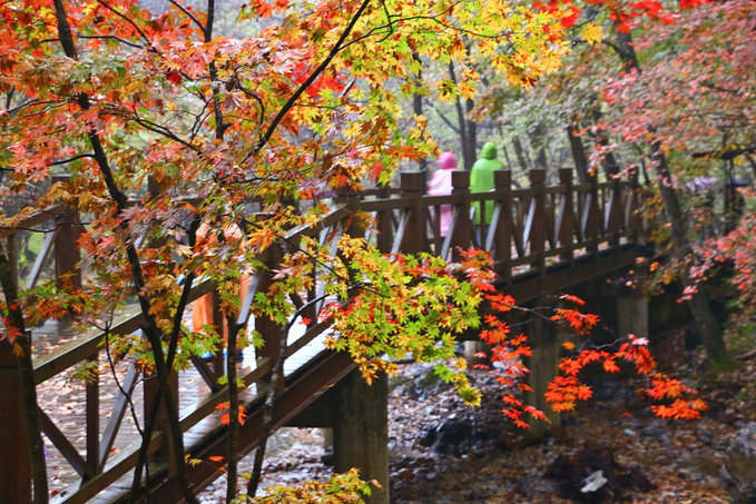 关门山国家森林公园图片