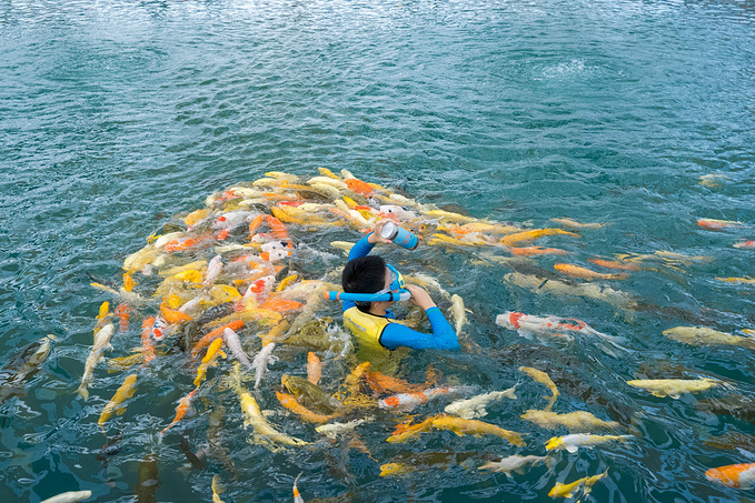 乐水一号图片