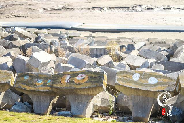 东台条子泥景区