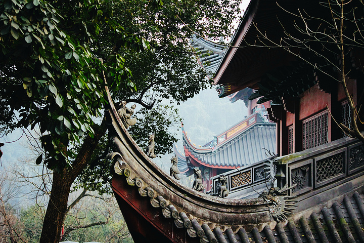 "_灵隐寺"的评论图片