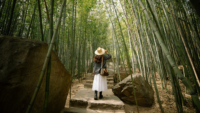 说说这次旅行图片