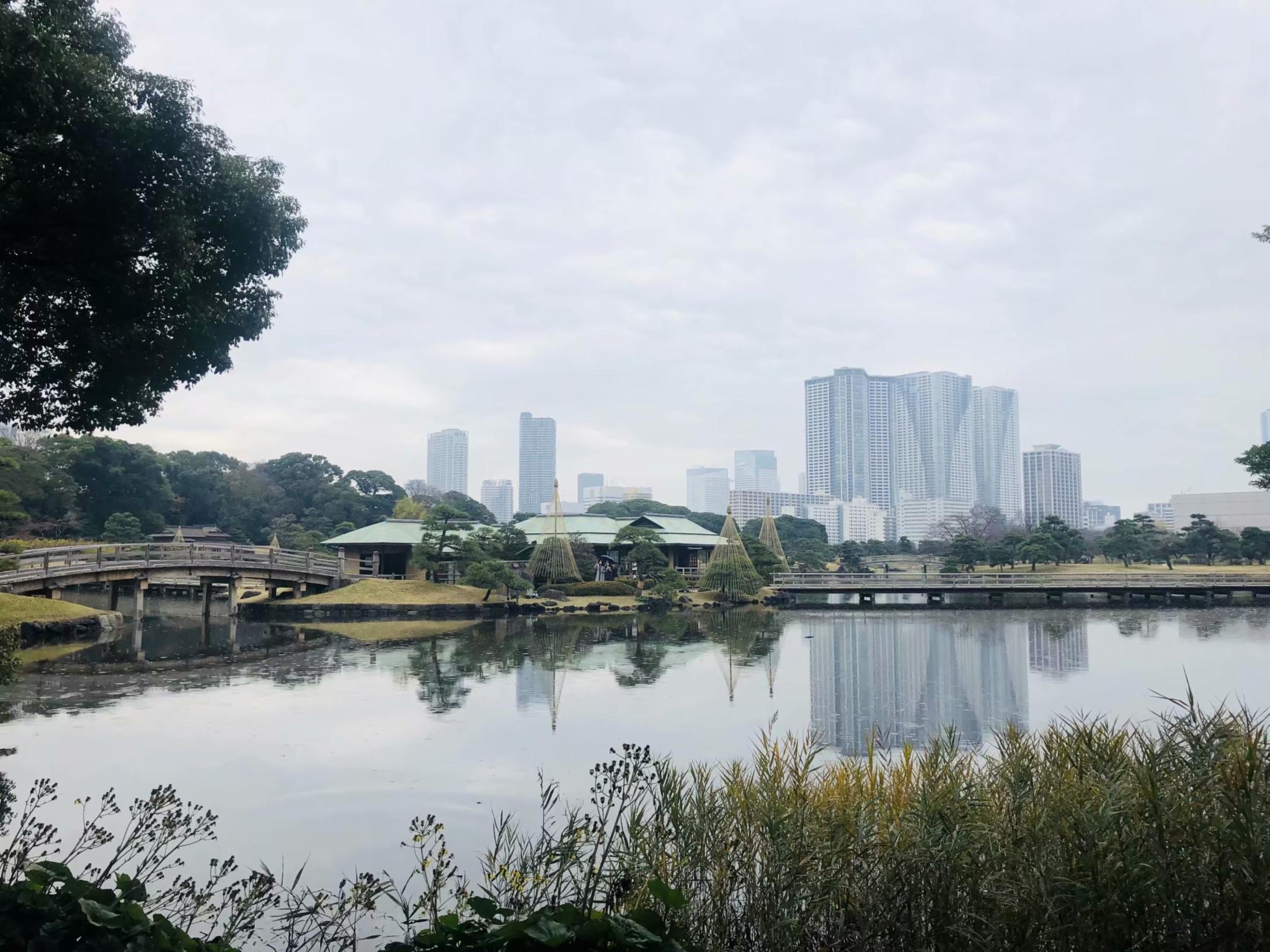 东京小众景点 - 你不知道的浜離宮！