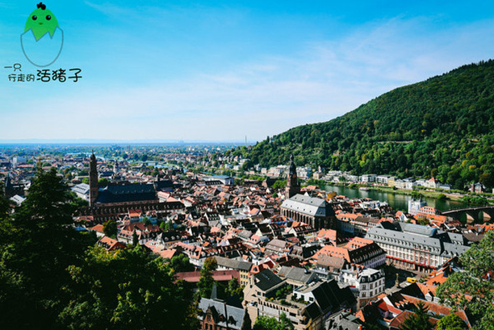 题外话,在 德国 听街边演出一般要付小费_海德堡老城区"的评论