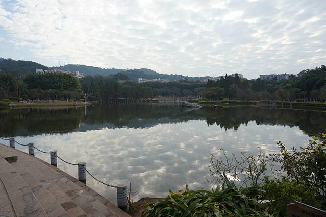 厦门大学-芙蓉湖