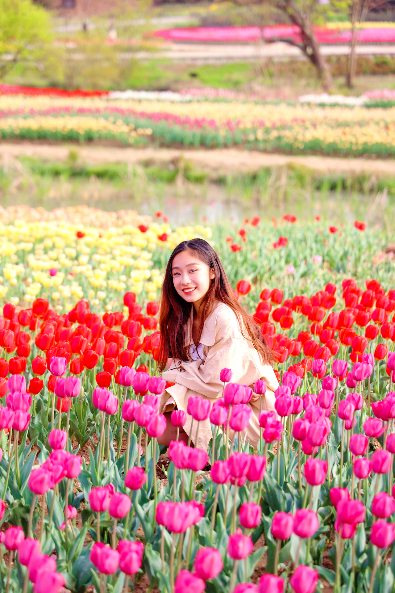 武汉赏花丨住在花乡，一键解锁郁金香和油菜花的世界