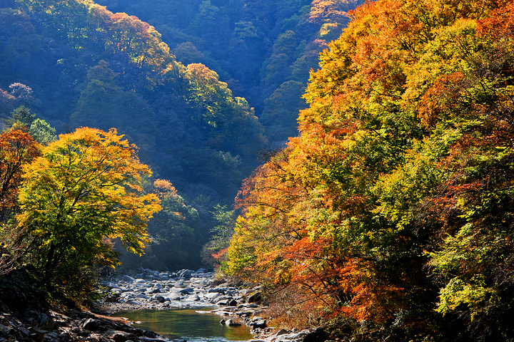 "光雾山|最佳旅游季节是秋季_光雾山旅游景区"的评论图片