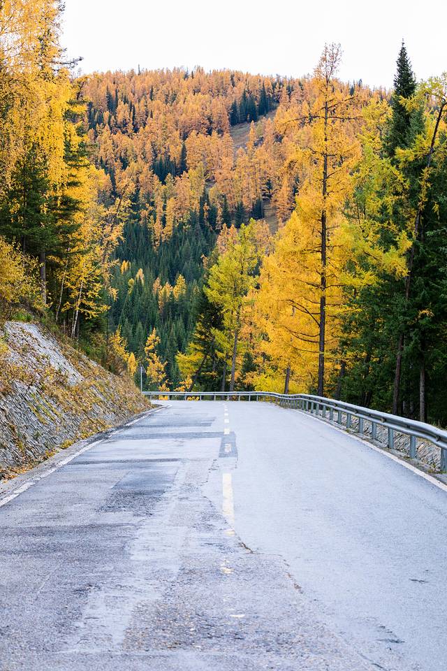 贾登峪国家森林公园