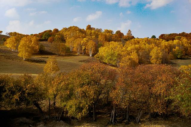 乌兰布统影视基地