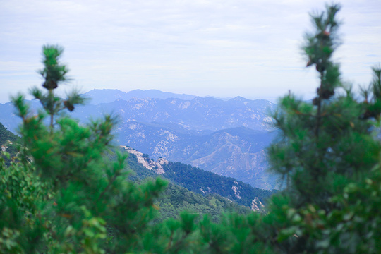 鹰窝峰旅游景点图片