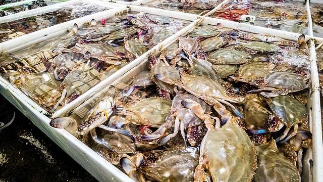 帝王宫综合市场