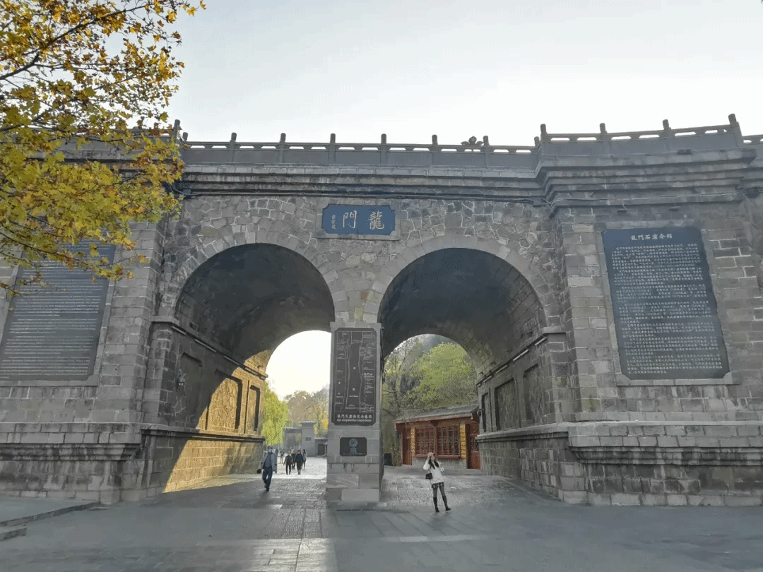 龙门直播携手顶级主播打造沉浸式观看体验引爆全网热度