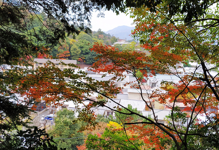 "红叶谷公园所在的弥山是作为宫岛岛屿神灵居住之地而自古被人崇拜的灵山_红叶谷公园"的评论图片