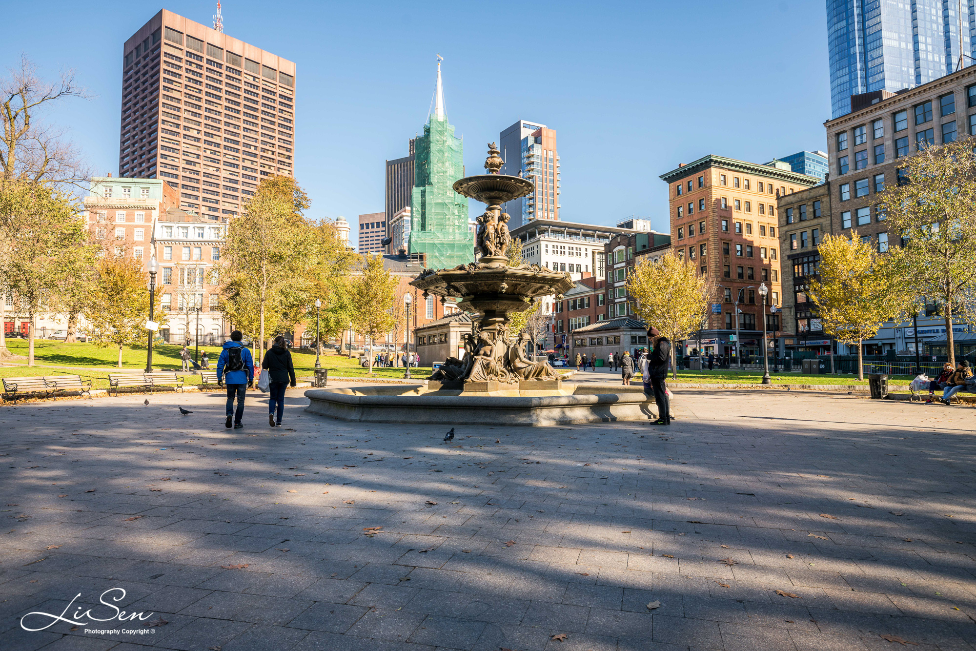 波士顿波士顿公共花园攻略,波士顿波士顿公共花园门票/游玩攻略/地址/图片/门票价格【携程攻略】