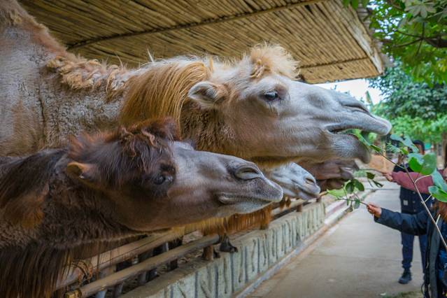 雄森旅游度假区