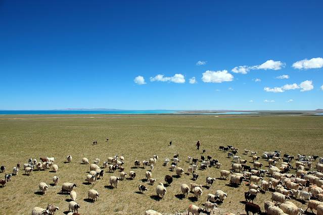 西藏色林错国家级自然保护区