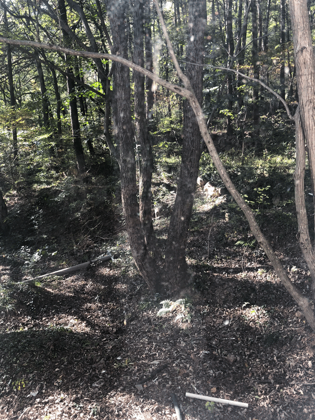 山水农庄(大洪山风景区店)