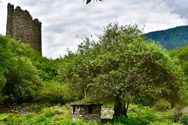 秀巴千年古堡群