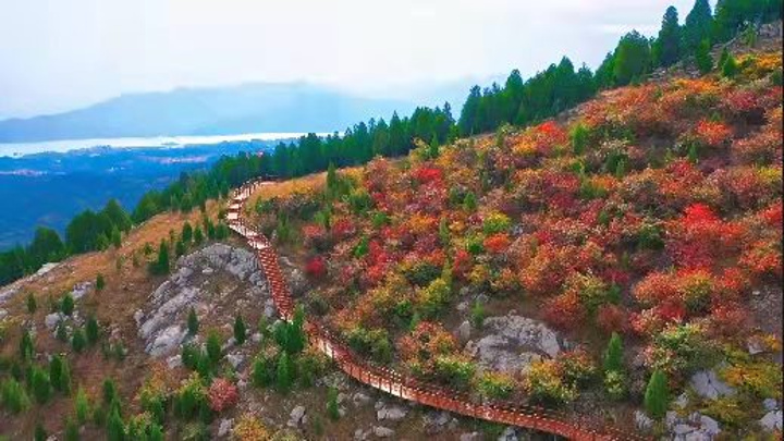 票:景區門票為60元地 址:青州市王墳鎮大澗頭大橋九龍峪景