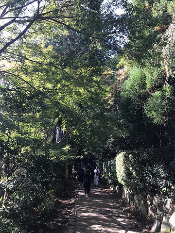 "岚山的范围其实很大，路牌上面的天龙寺和常寂光寺，景色都非常美，然而我们跟团的行程里不去。景区介绍_岚山嵯峨野观光小火车"的评论图片