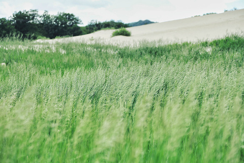 乌兰布统草原的图片