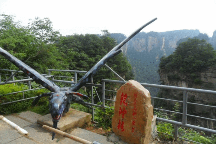 "游玩世界自然遗产的核心---袁家界景区，有阿凡达中“哈利路亚山”原型“乾坤柱”、天下第一桥、九..._袁家界景区"的评论图片