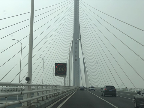 上海长江大桥旅游景点图片