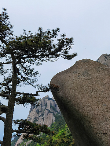 "五一假期，徒步的人不少，从南大门到索道上站一路上登山舒适度都很好。哦，攀岩也没试过，不知道手劲够不够_天柱山"的评论图片