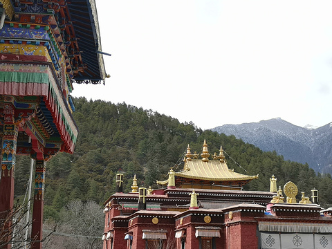 布久喇嘛林寺旅游景点攻略图