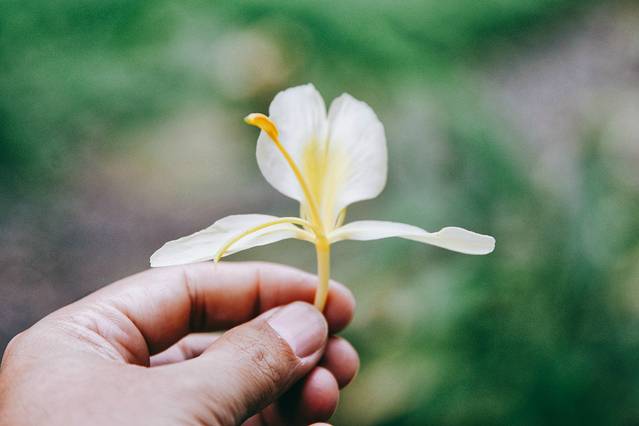 嘉阳桫椤湖旅游景区
