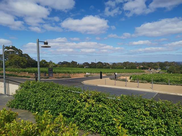 奔富玛吉尔庄园