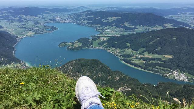 夏夫堡登山火车