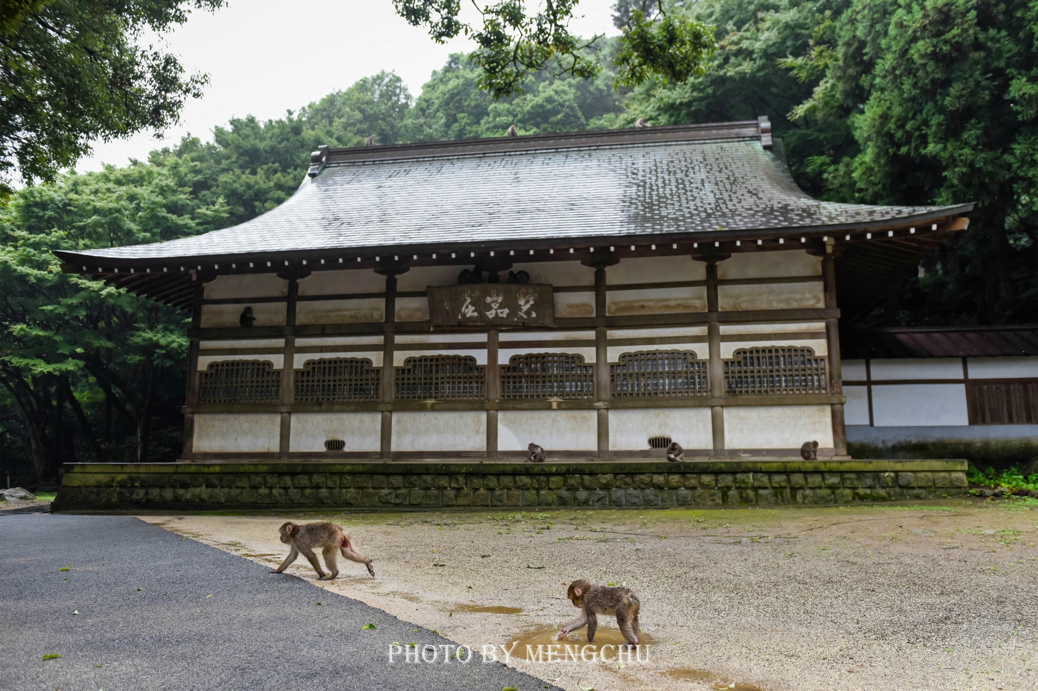 世外桃源温泉地 不止别府由布院 雨季的大分温泉之旅 别府市旅游攻略 游记 去哪儿攻略